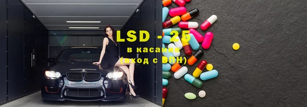 шишки Абинск