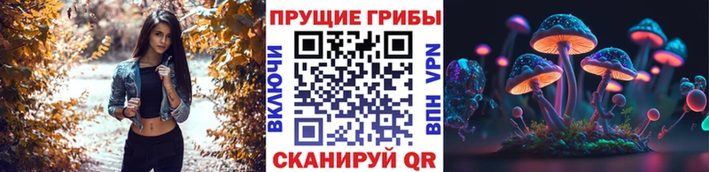 Псилоцибиновые грибы Psilocybe  Тотьма 