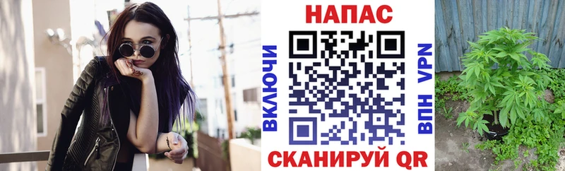 Конопля OG Kush  mega зеркало  Тотьма 